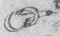 manicula